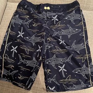 Boys swim trunks. Worn once.
